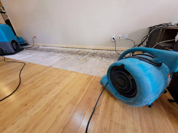 Reliable Basement Flood Cleanup contractor in Bergenfield, NJ by Hirex Water Damage