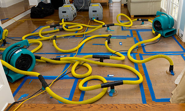 Professional Basement Flood Cleanup technician working in Bergenfield, NJ
